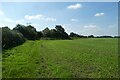 Bridleway connecting to the Bubwith Rail Trail