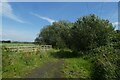 Rail trail near Shipton Lane