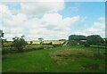 Grazing near Rushton