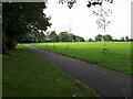 Young trees in Stanningley Park