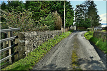 H5073 : Small bridge along Comber Road by Kenneth  Allen