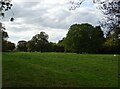 Grazing off Leicester Road, Kibworth Harcourt