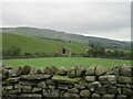 Near Whitfield Gill