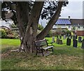 SO3010 : Memorial bench under a churchyard tree, Llanellen, Monmouthshire by Jaggery