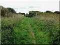 Path from St Piran