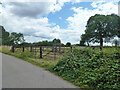 Cattle pens by Middle Old Park