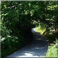 Farthing Lane, Ponts Green