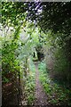 Frinton & Walton Footpath 25