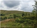 Looking towards Esgair Llwyn-gwyn