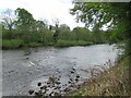 NY8874 : View towards Confluence of Proctor's Burn and River North Tyne by Les Hull