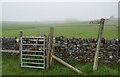 Footpath across Tideswell Moor