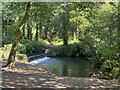 Weir on Afon Llan, Penllergaer