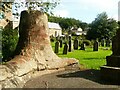 Fossil tree stump, Stanhope