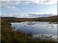 Lily pond, Culkein