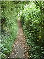 Public footpath 1, Farnham