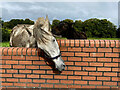 Mare and foal, Campsie, Omagh