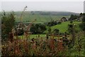 View towards Steele Lane Head