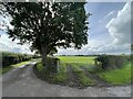 Field entrance by road junction