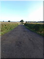 Access road to Heathley Farm