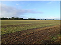 Field south of Drayton Bassett