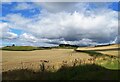 NZ3454 : Fields at Flinton Hill, Herrington by Robert Graham
