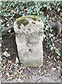 Old Milestone by the B3335, St Cross Road, Winchester