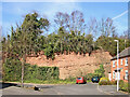 Sandstone outcrop near Wordsley, Dudley