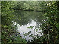 Fish Pond, Swanton Valley