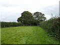 The Robin Hood Way entering Farnsfield from the west