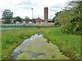 Pond by footpath 171, Farnham