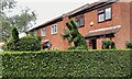 TQ3370 : Topiary training, Crystal Palace by Robin Stott