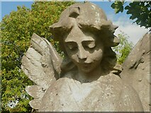 SE1730 : Head of an angel, Bowling Cemetery by Humphrey Bolton