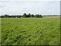 Grass field on the edge of Horncastle