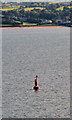 J4785 : Belfast Lough, The Helen's Bay Marker Buoy by David Dixon