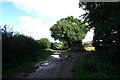 Sands Lane near Outgang Plantation