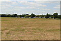 Playing fields, Bulverhythe