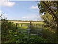 Gate on footpath near Hopkiln Farm