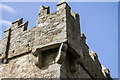 S8809 : Castles of Leinster: Coolhull, Wexford (2) by Mike Searle