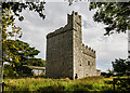 S8809 : Castles of Leinster: Coolhull, Wexford (3) by Mike Searle