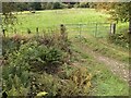 Field, Thirlestane