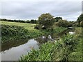 Union Canal near Polmont