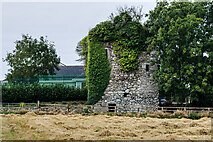 S8114 : Castles of Leinster: Taylorstown, Wexford (4) by Mike Searle