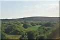 Filsham Reedbeds Reserve