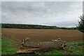 Log across a field entrance