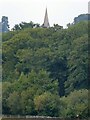 The spire of St Michael, Steeple Claydon pokes above the trees