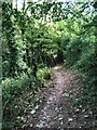 Pembrokeshire Coast Path