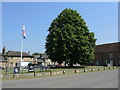 Coronation celebration in Stalbridge