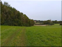 SU5371 : Farm track near Hatchments Shaw by Oscar Taylor