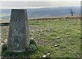 ST2290 : Trig point on Mynydd Machen (362m) by Alan Hughes