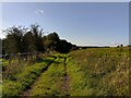 Restricted byway towards Fawley memorial